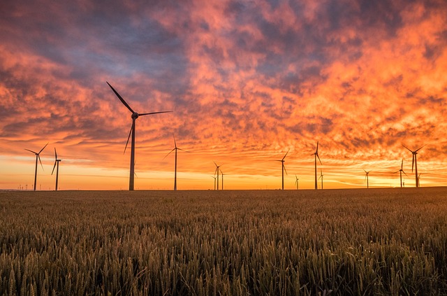 Ernæringsvaner der giver mere energi i hverdagen